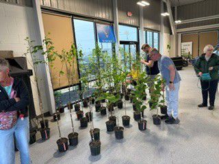 Rooted in Community: Our Arbor Day Tree Giveaway