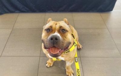 Wynonna finds a home!