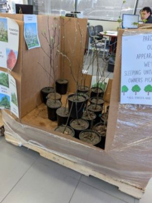 Putting Down Roots with Subaru Loves the Earth