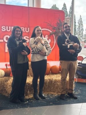 Capitol Subaru Loves Pets!