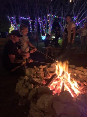 Dyer Subaru Supports the Environment at Wintergreen Night Lights