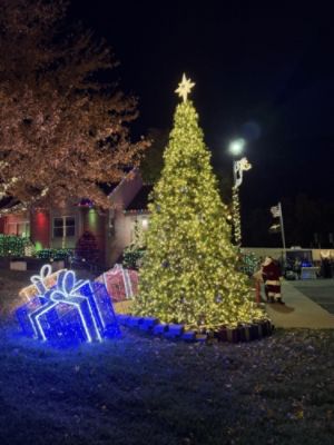 Light and Love: A Community Shines for RMHC