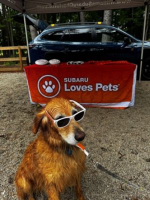 Supporting the Off-Leash Dog Park at the Whitewater Center