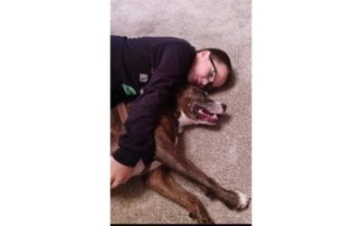 Subaru Loves Pets – WCJC Animal Shelter