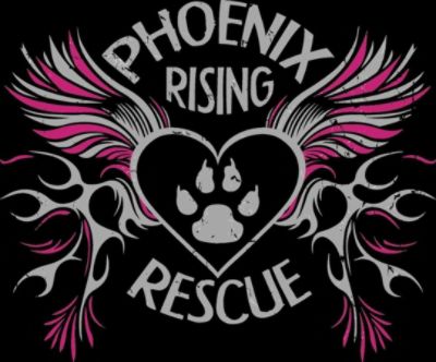 Phoenix Rising Rescue
