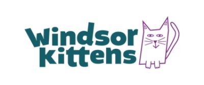 Windsor Kittens