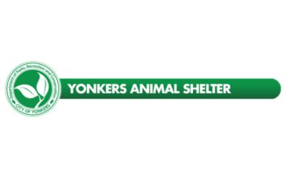 Yonkers Animal Shelter