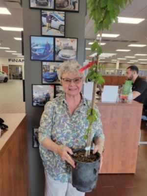 Rooted in Love, Growing Together