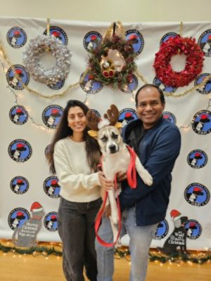 Holiday Magic: 55 Lives Changed