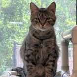 Schatzi-A Tale of Patience