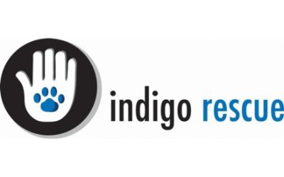 Indigo Rescue