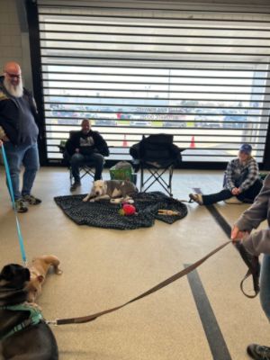 PA caring for K9s Dog Rescue