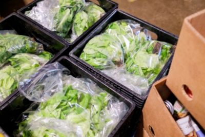 Feeding the community