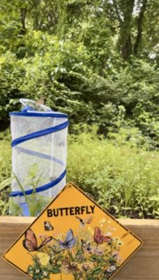 One Butterfly At A Time 