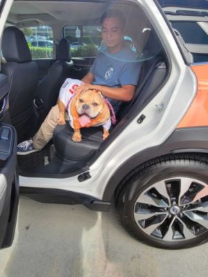 Subaru Loves Pets – Celebrating Love, Loyalty, and Second Chances