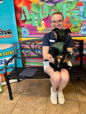 Another Paw-some Success: Local Adoptions Soar in Single-Day Event!