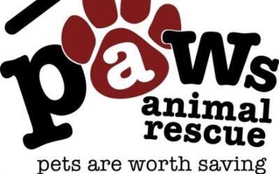 Serra Subaru supports PAWS