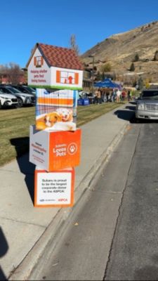 Teton Motors Subaru, helping connect homeless animals with loving homes!