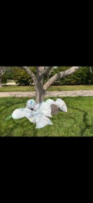Beach Cleanup at Rocky Neck 