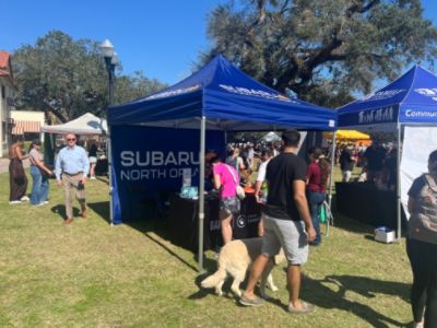 It Was a Great Day to Be a Dog at Paws in the Park!