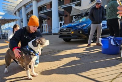 UVA's Paws and Pistons: Cruisin' for a Cause