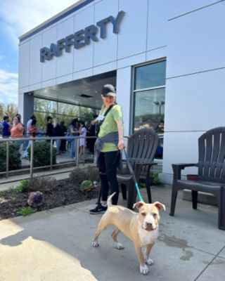 Record-breaking adoption event