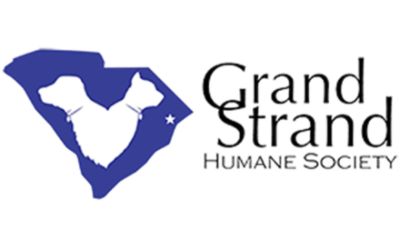 partnerCompanyName