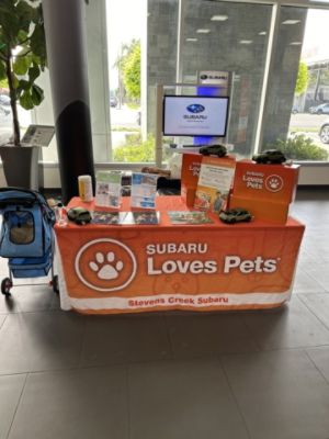 Puppy Adoption at Stevens Creek Subaru – Subaru Loves Pets