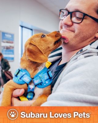 Finding Fur-ever Homes For the Holidays