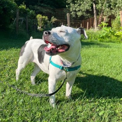 Riley's Happily Ever After