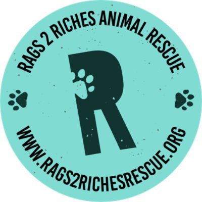 Rags 2 Riches Animal Rescue