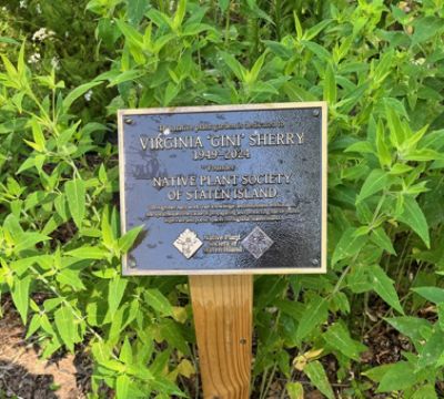 Serviceberry joins a pollinator garden