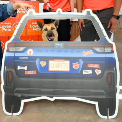 Six Dogs, One Afternoon, and a Partnership That Shows Up