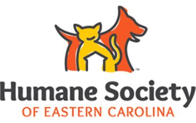 partnerCompanyName