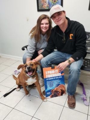 Subaru of Gallatin helping 34 Under dogs/cats find their furever homes!