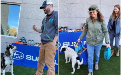 Stafford Animal Shelter & Subaru "Love Pets"!
