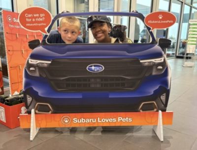 Helping our Furry Friends