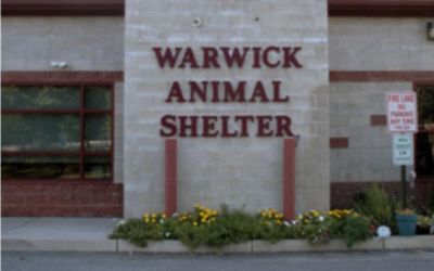 Warwick Animal Shelter