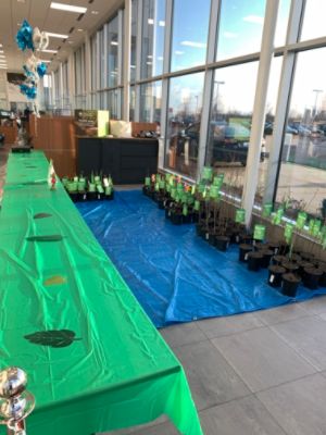 National Arbor Day and Bergstrom Subaru Oshkosh