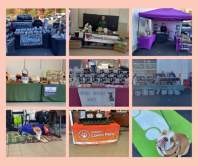 Long Subaru’s Love-a-Pet Event Brings Big Smiles and New Beginnings