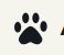 All About Animals 