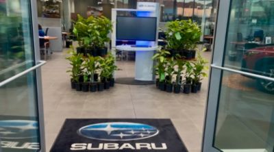 Rooted in Community, Growing with Purpose