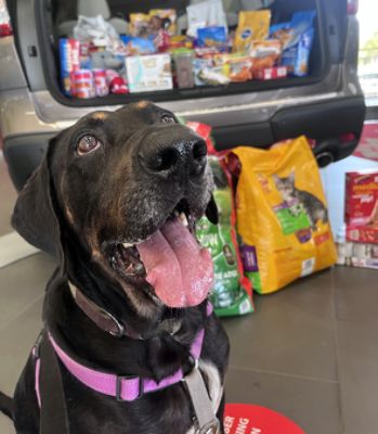 Sharing the Love and Making a Difference Together.