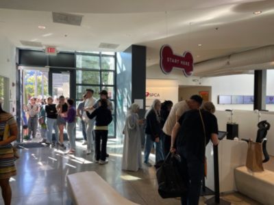 Subaru Loves Pets Adoption Event at San Francisco SPCA with Putnam Subaru in Burlingame!