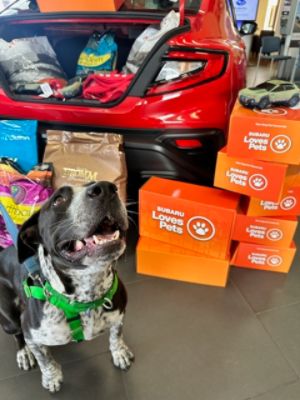 Subaru and Community Unite to Support Pets and Families After the Storm