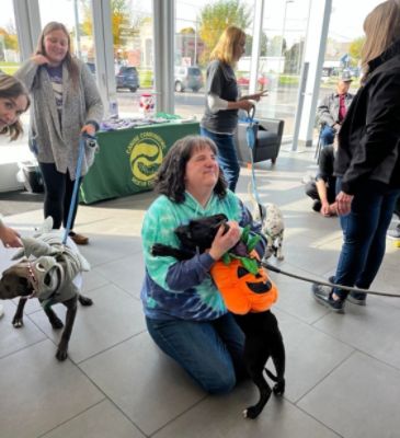 Subaru Helping Homeless Dogs