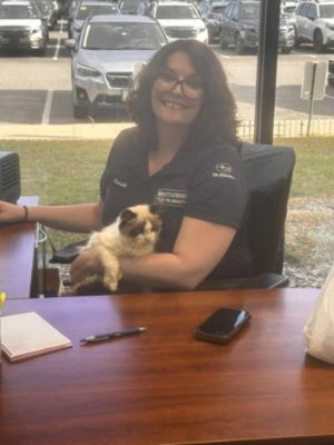 Helping Animals Find New Homes