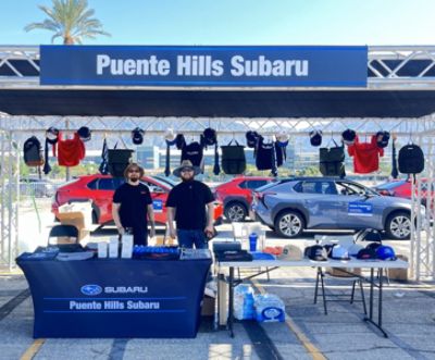 Subiefest California