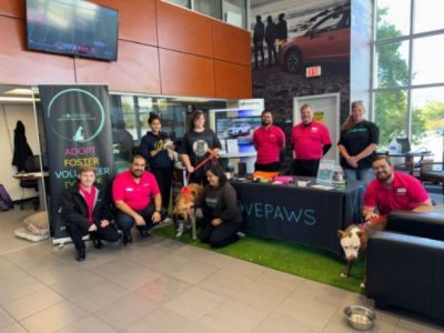 Stohlman Subaru really made a difference with Love Paws and their mission to save dogs & cats 