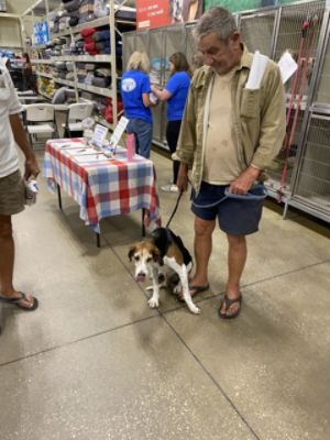 Milo, the Older Former Hunting Dog Finds His Forever Home During the Subaru Loves Pets Event